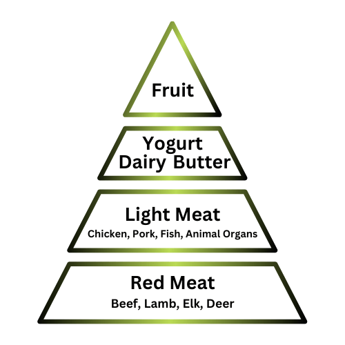 Food Pyramid